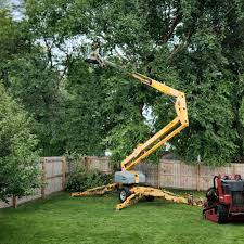 Best Lawn Maintenance Plans  in Auberry, CA